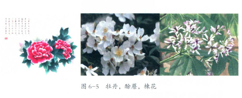 08.jpg