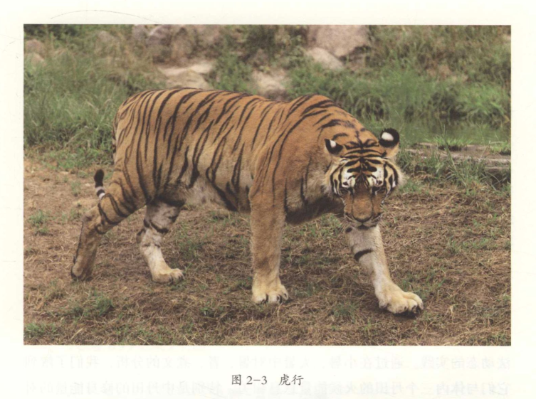 05.png